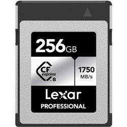 lexar silver 256gb type b